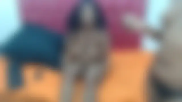 Živá chatovací místnost MiniSeduction