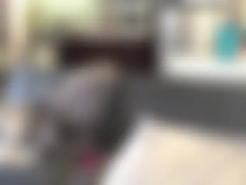 Онлайн чат littyleesh1