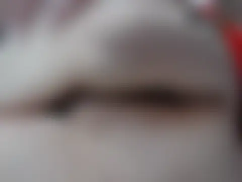 LADYJENNIFER 现场聊天室