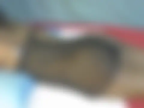 portiax লাইভ XXX চ্যাট