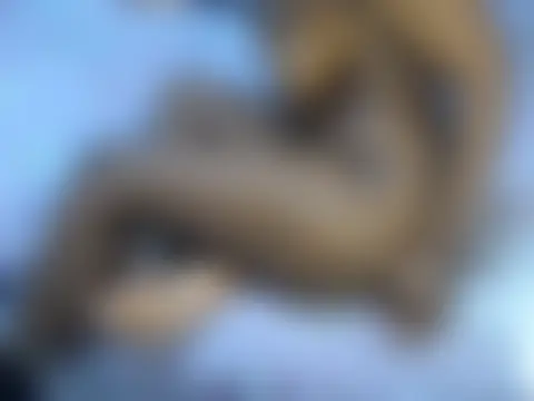 BootySoYummyX Live chatroom