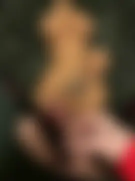 غرفة دردشة 69FanausFR المباشرة