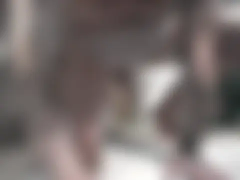 Twoslipperywhenwett's Live XXX Chat