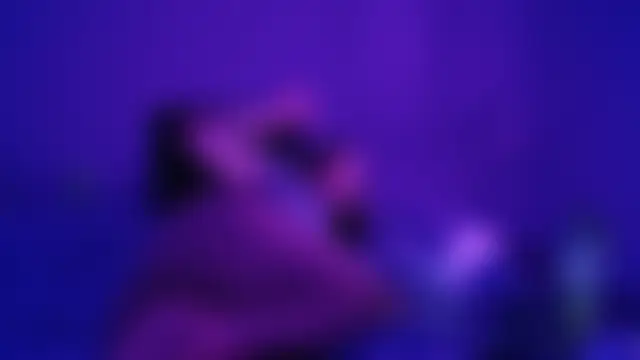 halostar's Live XXX Chat