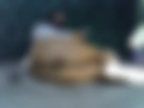 Sala de chat ao vivo de pocupines