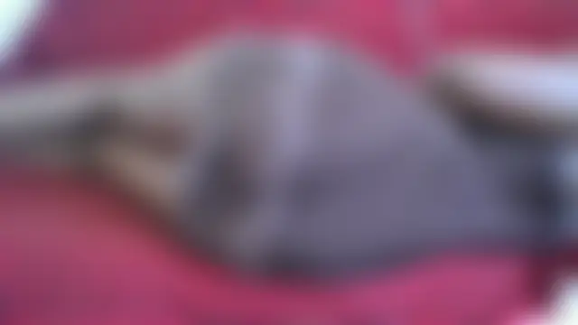 Busty_Bby Webcamshow