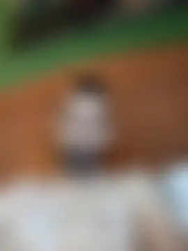 Show de sexo ao vivo de Pollagordita7