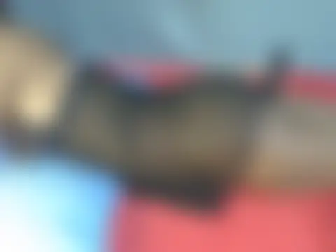 portiax Live XXX-chat