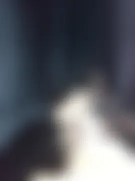 Queen-Roo7 Live XXX-chat