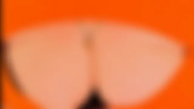 BIGTITSBBW Show in webcam