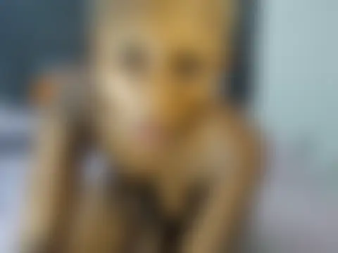 BootySoYummyX's Live XXX Chat