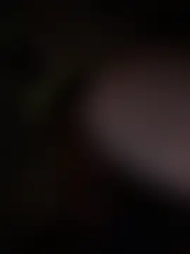 RAVENTREY1n Webbikameraesitys