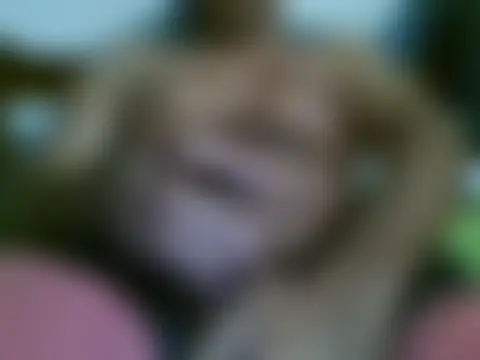 غرفة دردشة bbccol1 المباشرة