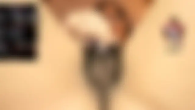 Pertunjukan Kamera Web dalila2arab