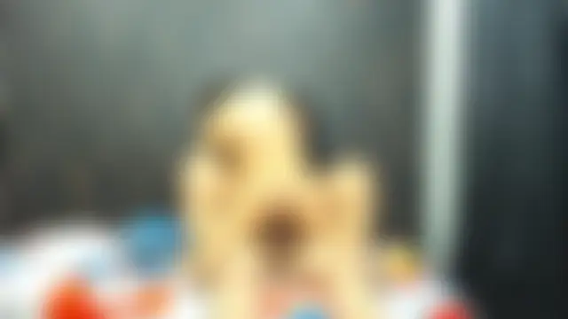 4SexFantastic's Webcam Show