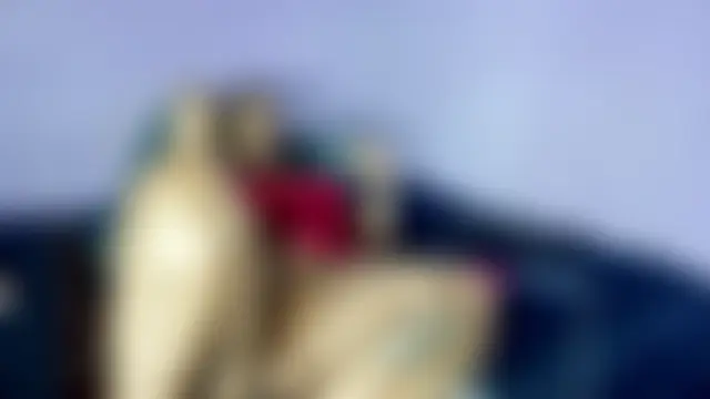 wilmaassylum 라이브 XXX 채팅