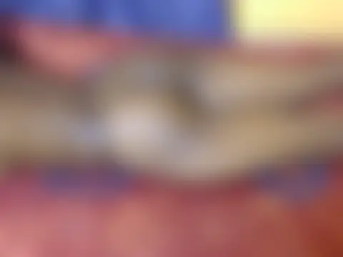 Cali_17 网络视讯表演