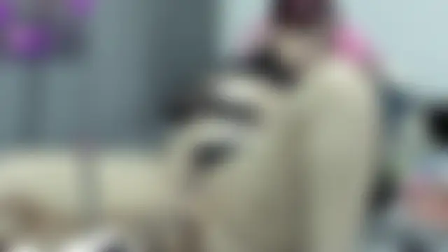 BrendaXiomy's Webcam Show