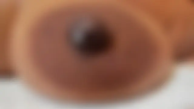 zara_lopez Live Chatraum