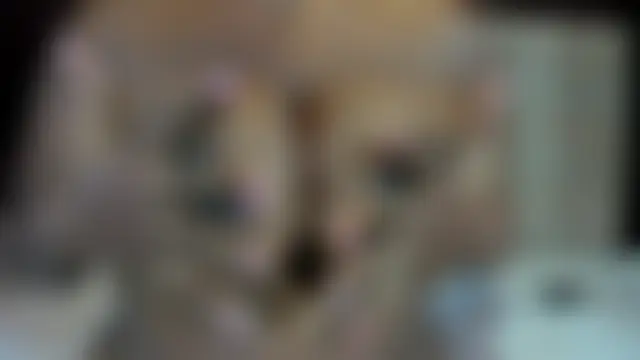 Astrid_leon's Live Webcam Chat