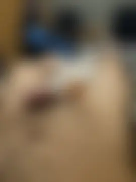 sste1n's Live Webcam Chat