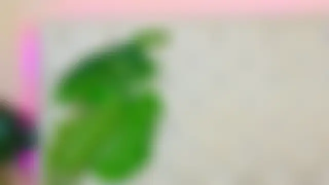 AlynAllen 실시간 채팅방