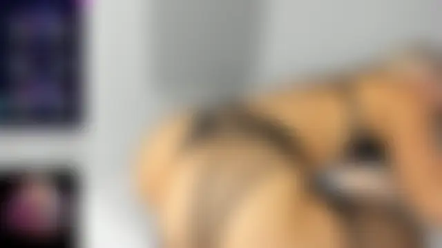 GigyDiamond 실시간 채팅방