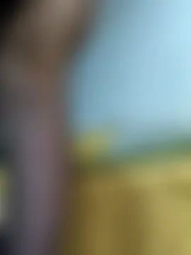 ValeriaLight লাইভ চ্যাট রুম