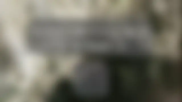 sofiapurex লাইভ চ্যাট রুম