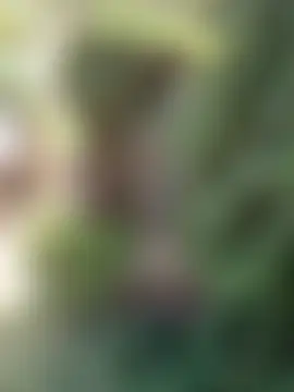 ห้องแชทสดของ DarkQueen_94