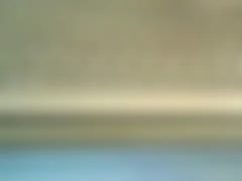 Spandana_Sweety: διαδικτυακό σόου στην κάμερα