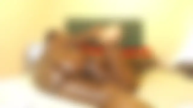 sexybigasss Adlı Modelin Canlı Sohbet Odası