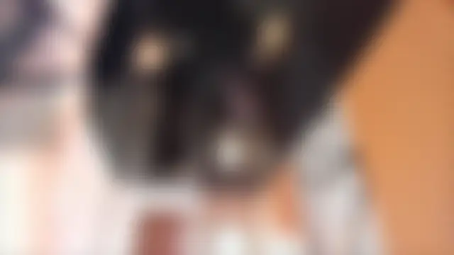 LisaAkira লাইভ চ্যাট রুম