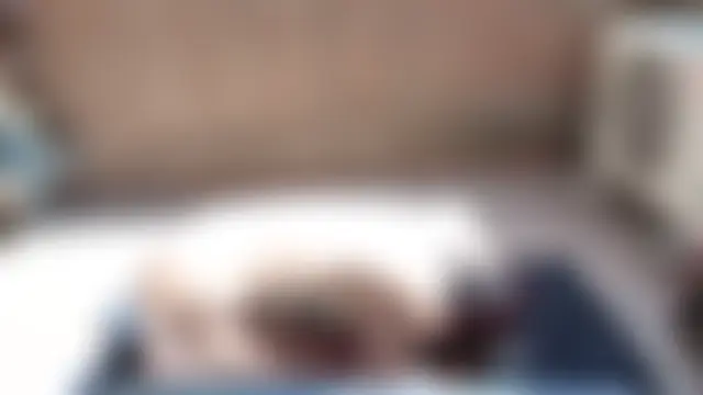 DragonflyExhib – Naživo chatovacia miestnosť