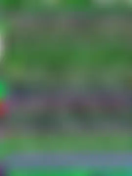 Sunbelxxのライブチャットルーム