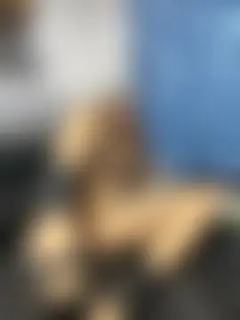 Živá chatovací místnost Anita-Smith