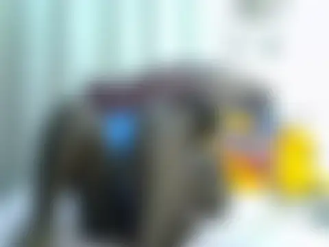 Sultry_Bleau's Live Chat Room