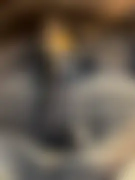 Pokazy przed kamerką – ZarahFerreira