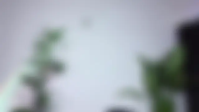 bri_von_dhara__: δωμάτιο απευθείας συνομιλίας