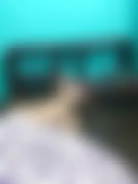 Villageanutyn Live chat-huone