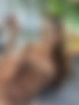 ห้องแชทสดของ Bella-Grace