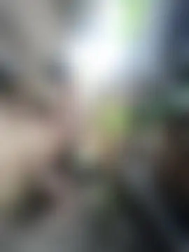 Rollz_jon Webbikameraesitys