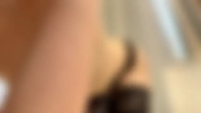 GlaydsLeveto 웹캠 쇼