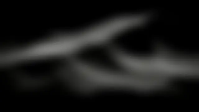 Ninavale 现场性爱视讯表演