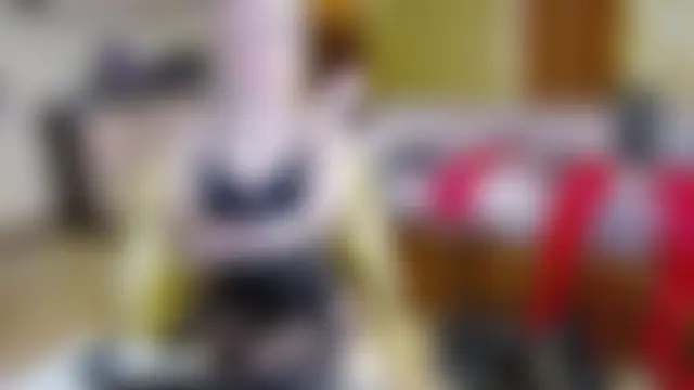 DomCaprisse: онлайн-чат