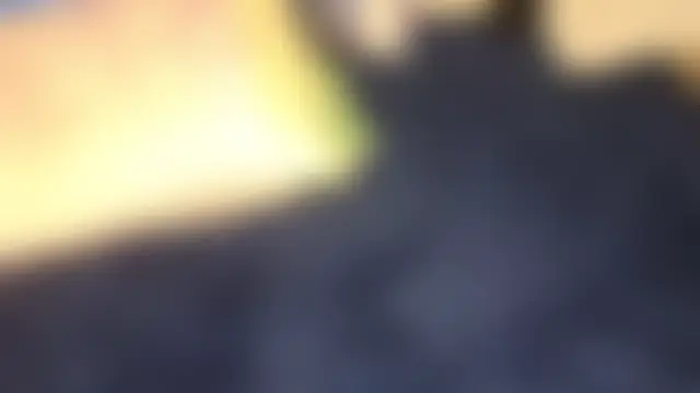 Sexy_sharntelのライブチャットルーム