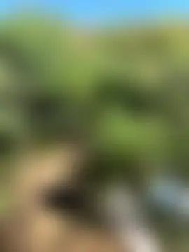 Lalla_Amani: δωμάτιο απευθείας συνομιλίας