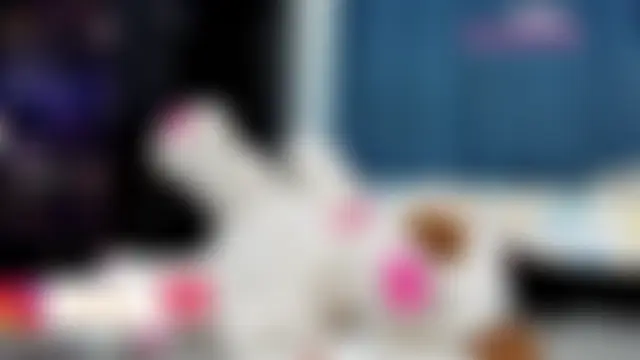 jessi_morgan Ruang Obrolan Langsung