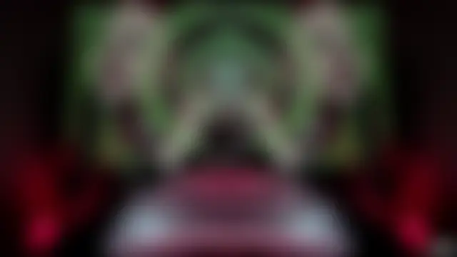 Show Webcam de Amanita__Pantherina