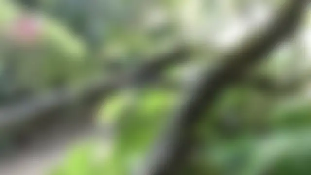 esmeralda_li – Naživo chatovacia miestnosť